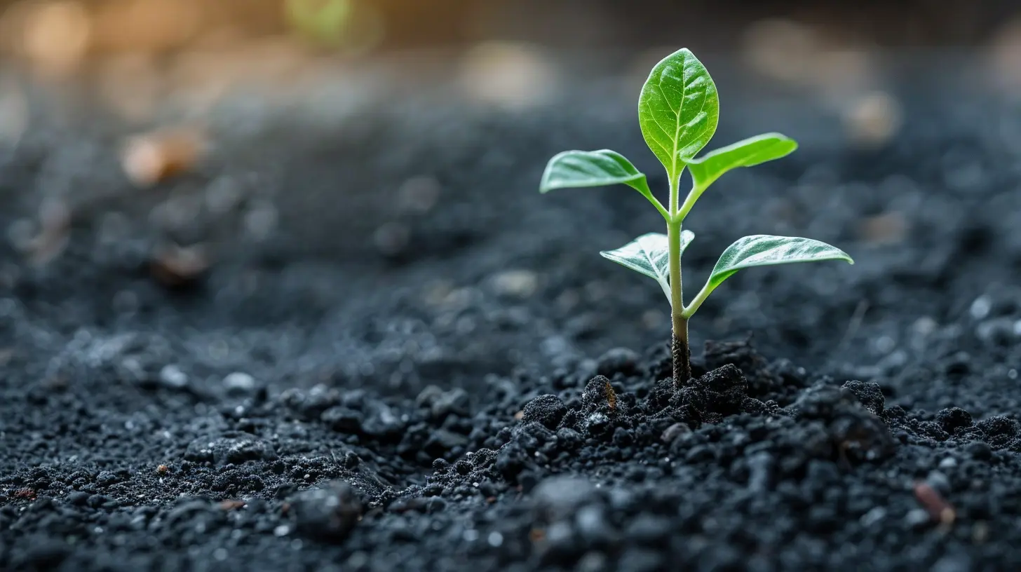 How ETF Fees Impact Long-Term Portfolio Performance