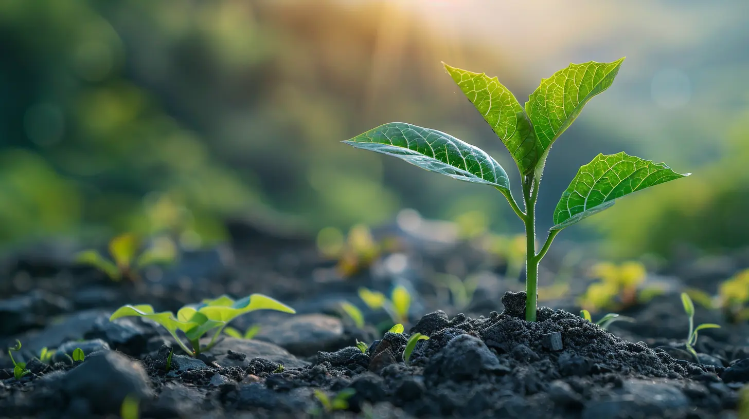 Understanding Your Financial Independence Number and How to Reach It