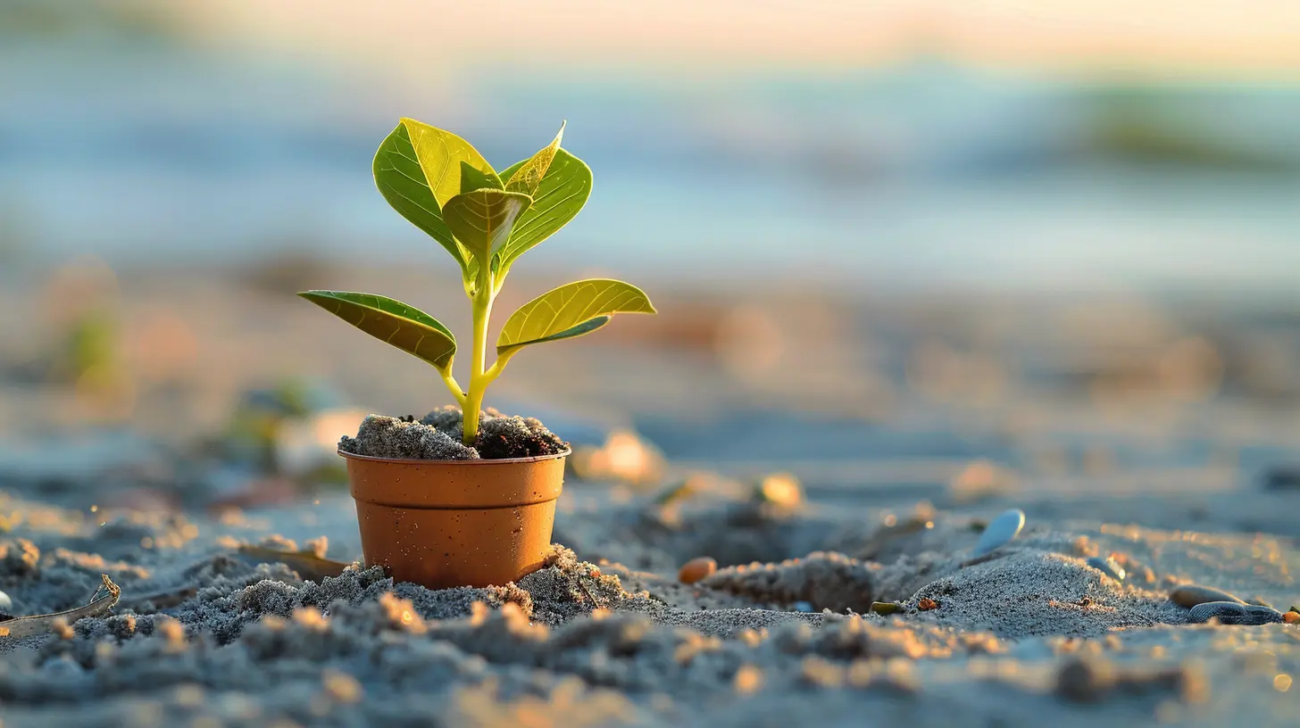 Why Having a Financial Mentor Can Speed Up Your Progress