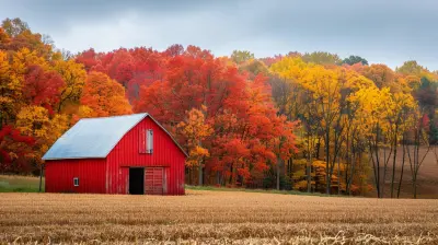 How to Harvest Tax Losses Using ETFs