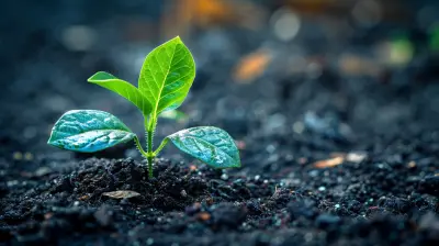 Why Having a Financial Mentor Can Speed Up Your Progress