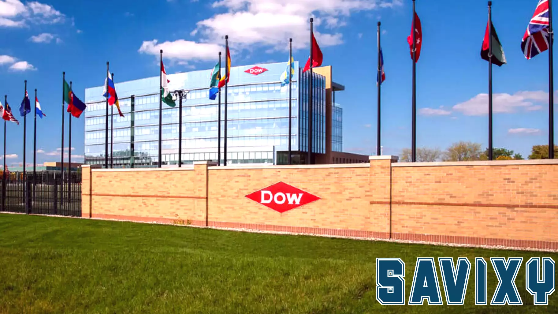 Dow Inc. (DOW) Jumps 2.6% on Petrochem Shortage