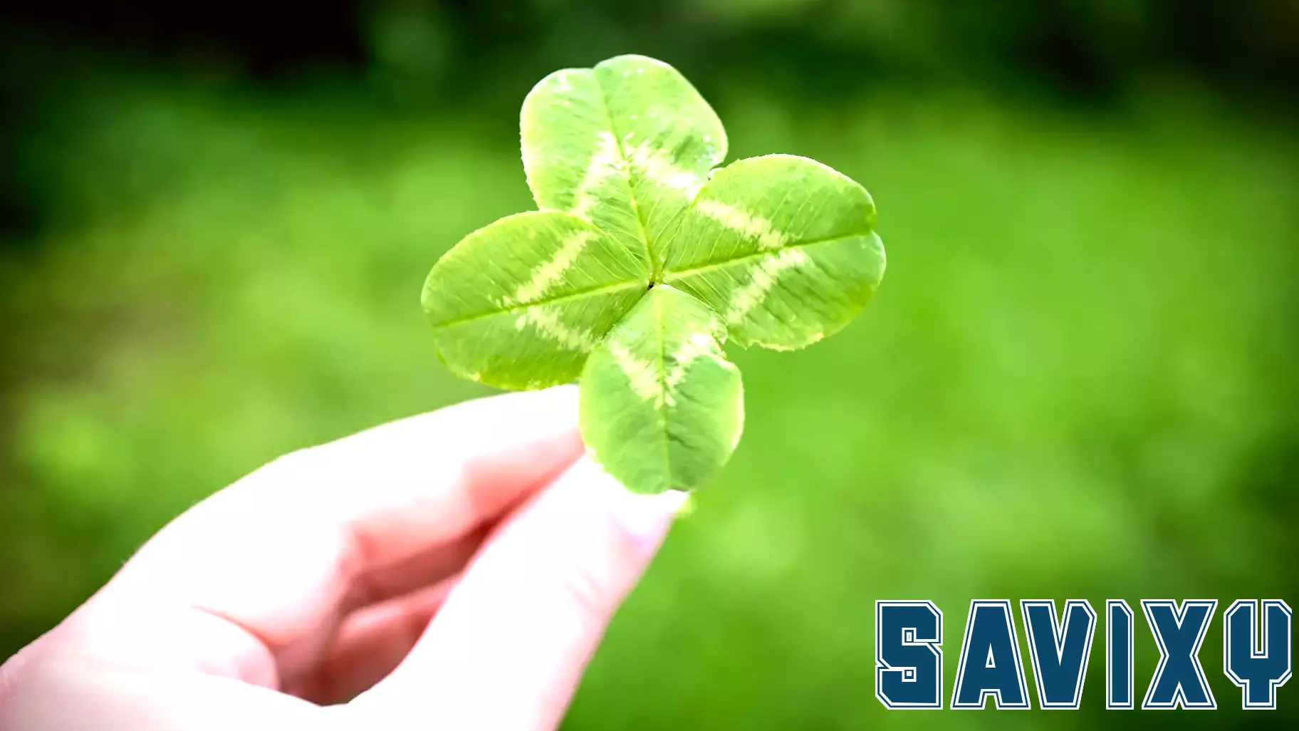 Essential Year-End Financial Check-Ins for a Strong Finish