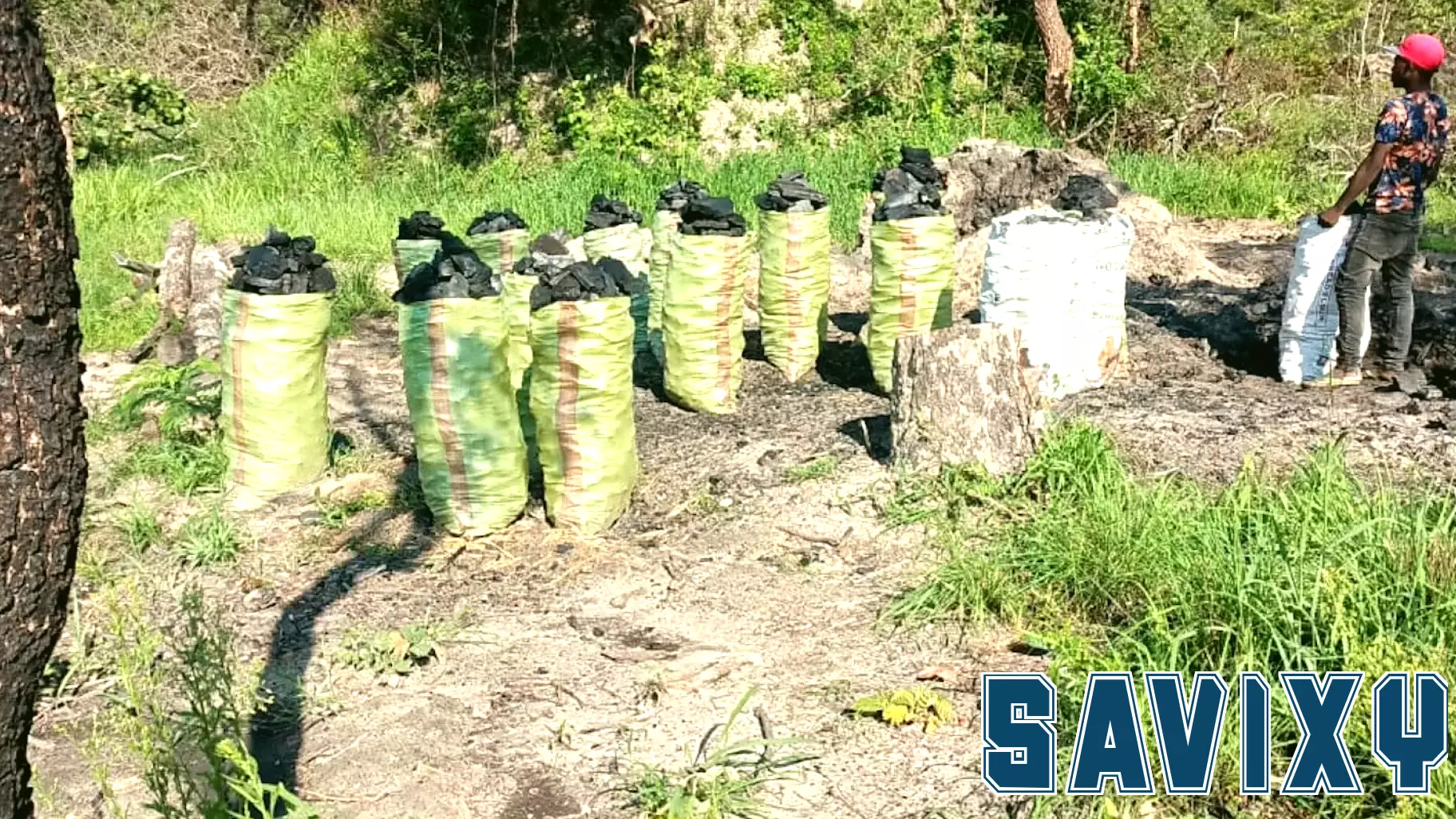 Solar Power Solutions Needed for Zambia’s Forest Communities