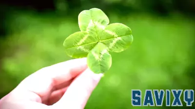 Essential Year-End Financial Check-Ins for a Strong Finish