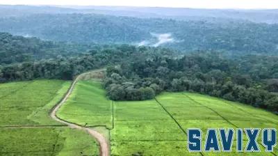 Rethinking Climate Finance Strategies for Africa