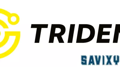 Trident Solutions Welcomes Jim Haney as New Chief Financial Officer