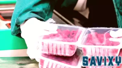 Undervalued Stocks Shine Amidst Asian Market Caution