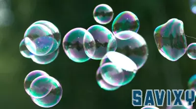 Wall Street's Take: No AI Bubble in Sight