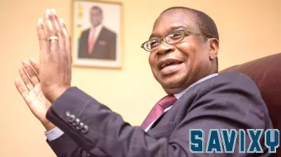 Zimbabwe's Finance Minister Highlights Need for Credit Access Before Sole Currency Adoption